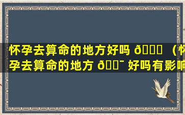 怀孕去算命的地方好吗 🐕 （怀孕去算命的地方 🐯 好吗有影响吗）